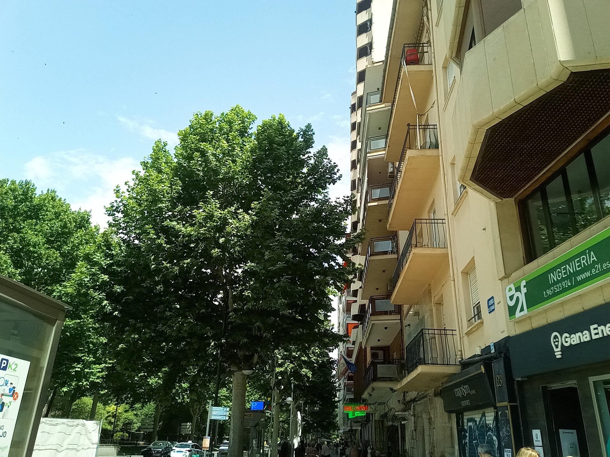 Imagen 6 Piso en venta en Albacete / Parque Abelardo Sánchez