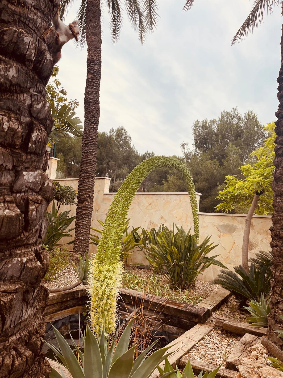 Imagen 4 Casa en venta en Murcia / En la urbanización Montepinar 