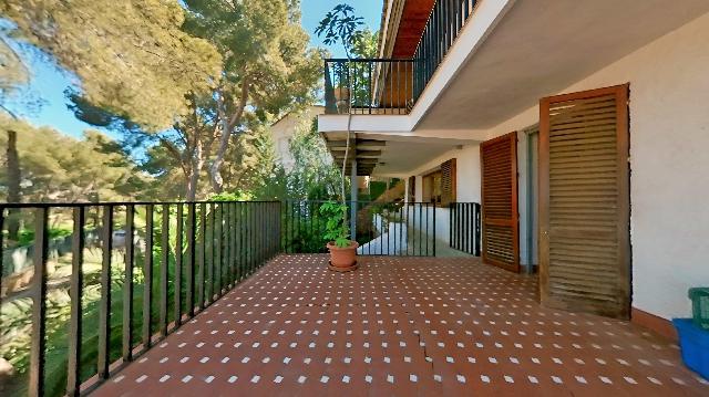 Imagen 50 Inmueble 300959 - Casa Rústica en venta en Murcia / En Santo Ángel, a 15 minutos de Murcia capital