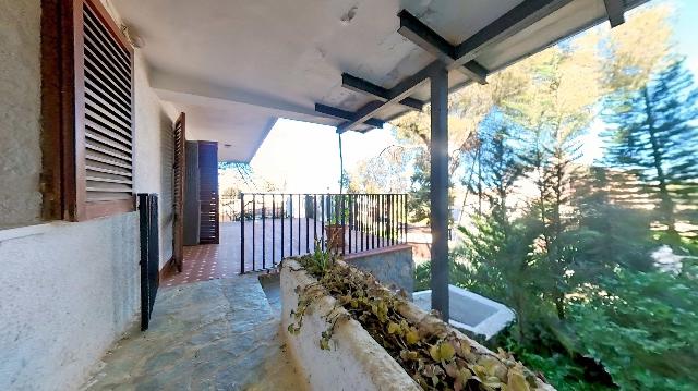 Imagen 54 Inmueble 300959 - Casa Rústica en venta en Murcia / En Santo Ángel, a 15 minutos de Murcia capital