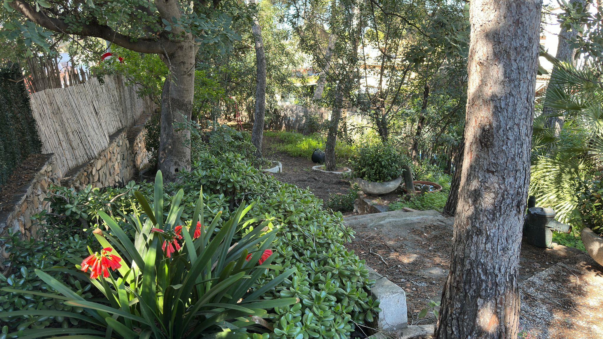 Imagen 7 Casa Rústica en venta en Murcia / En Santo Ángel, a 15 minutos de Murcia capital