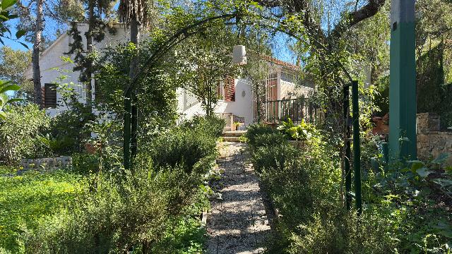 Imagen 5 Inmueble 300959 - Casa Rústica en venta en Murcia / En Santo Ángel, a 15 minutos de Murcia capital