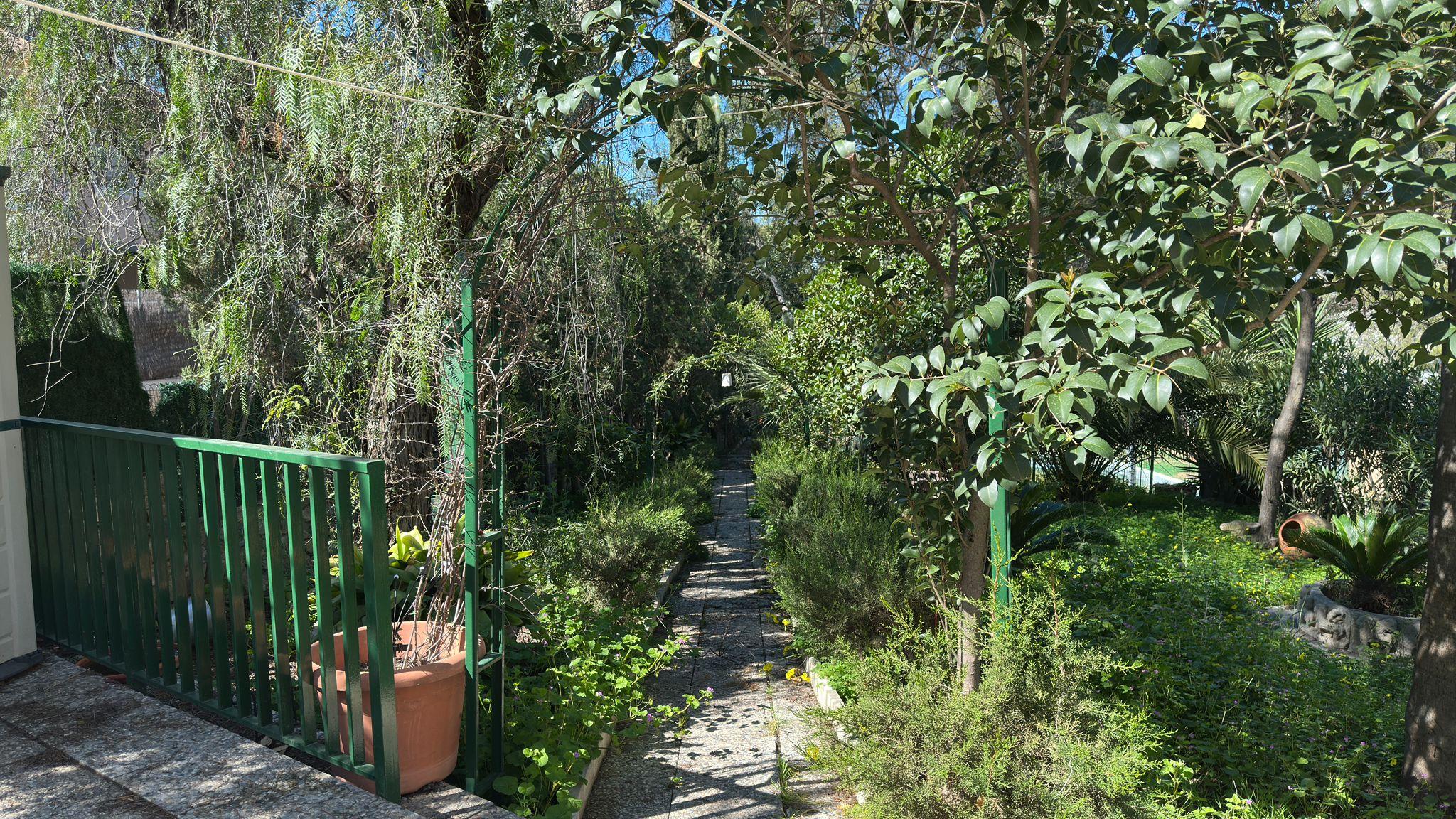 Imagen 11 Casa Rústica en venta en Murcia / En Santo Ángel, a 15 minutos de Murcia capital