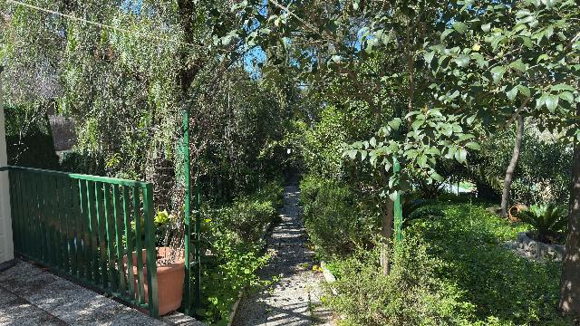 Imagen 11 Inmueble 300959 - Casa Rústica en venta en Murcia / En Santo Ángel, a 15 minutos de Murcia capital