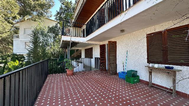 Imagen 41 Inmueble 300959 - Casa Rústica en venta en Murcia / En Santo Ángel, a 15 minutos de Murcia capital