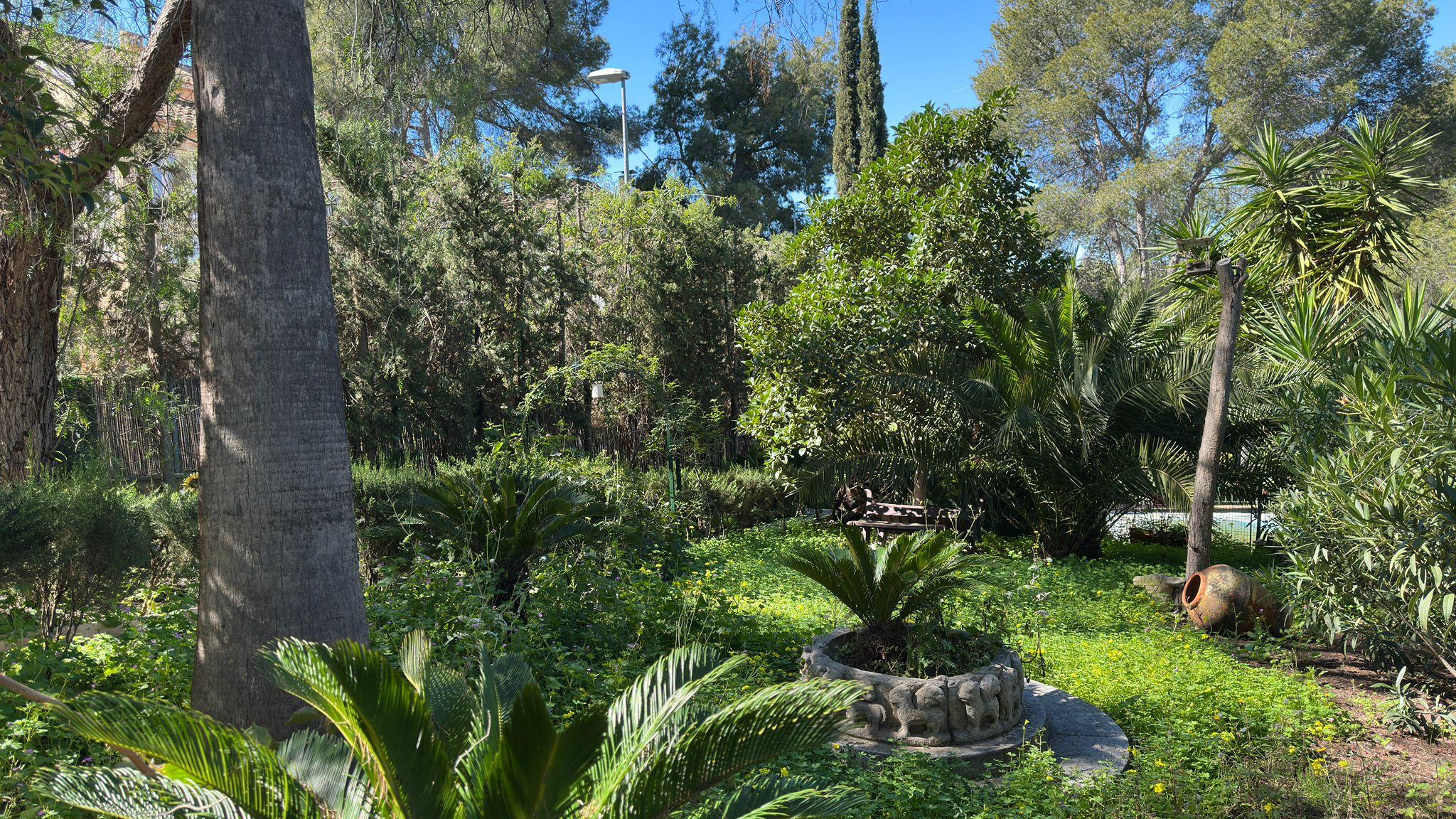 Imagen 9 Casa Rústica en venta en Murcia / En Santo Ángel, a 15 minutos de Murcia capital