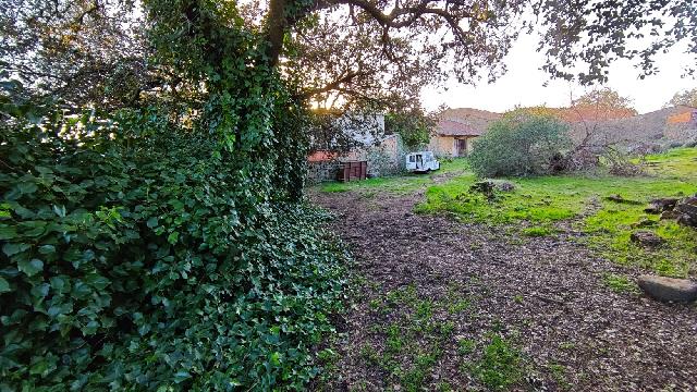 Imagen 21 Inmueble 300691 - Casa Pareada en venta en Aceituna / Casa de pueblo, en Aceituna ( Cáceres)