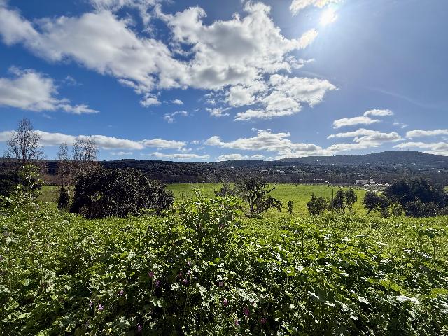 Imagen 20 Inmueble 300777 - Piso en venta en Plasencia / Zona norte - urbanizaciones - Carrefour