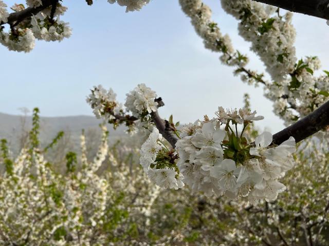 Imagen 21 Inmueble 301360 - Casa en venta en Torno (El) / En la zona centro del pueblo