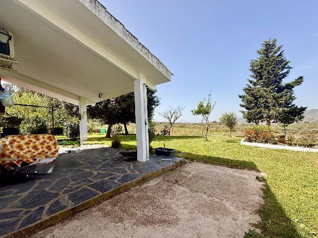 Imagen 7 Inmueble 302178 - Casa Rústica en venta en Plasencia / Finca Umbría de Matasanos