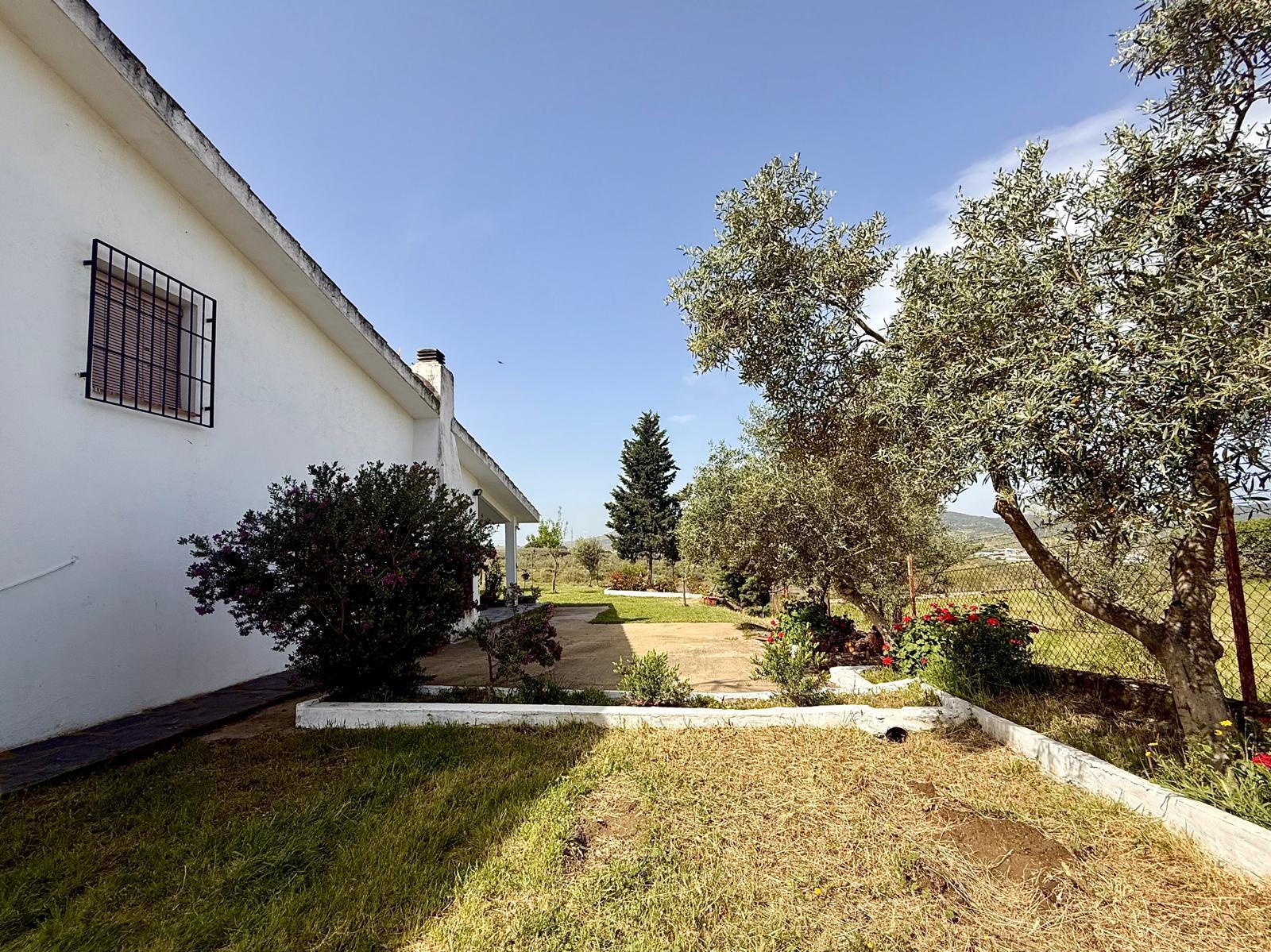 Imagen 10 Casa Rústica en venta en Plasencia / Finca Umbría de Matasanos