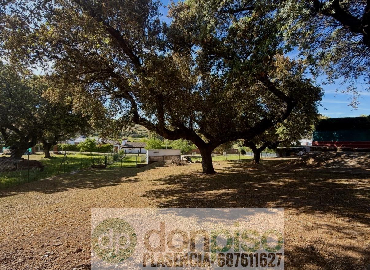 Imagen 20 Casa Rústica en venta en Malpartida De Plasencia / En la Carretera N630