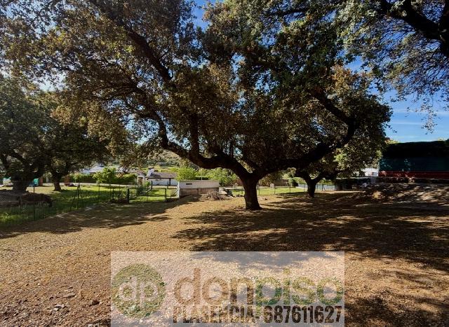 Imagen 20 Inmueble 302346 - Casa Rústica en venta en Malpartida De Plasencia / En la Carretera N630