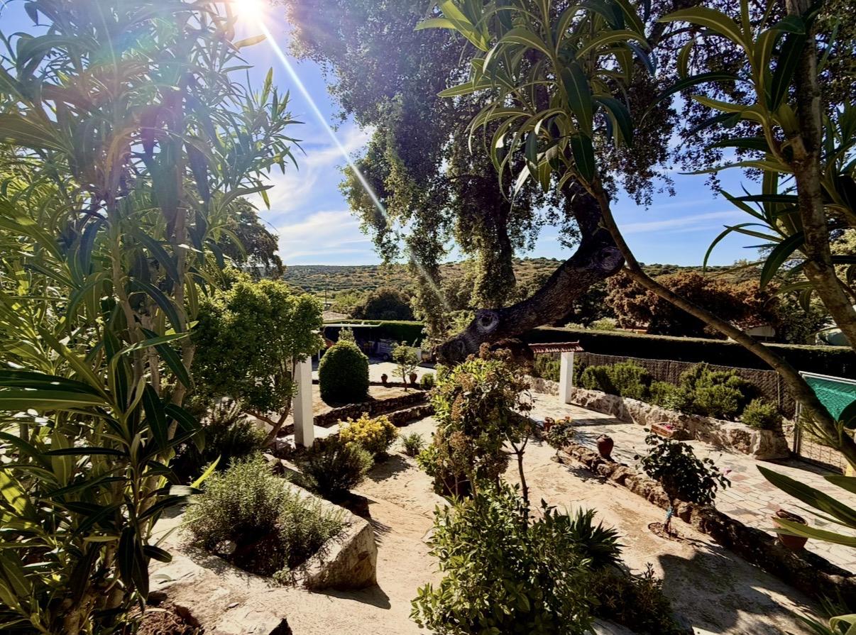 Imagen 13 Casa Rústica en venta en Malpartida De Plasencia / En la Carretera N630