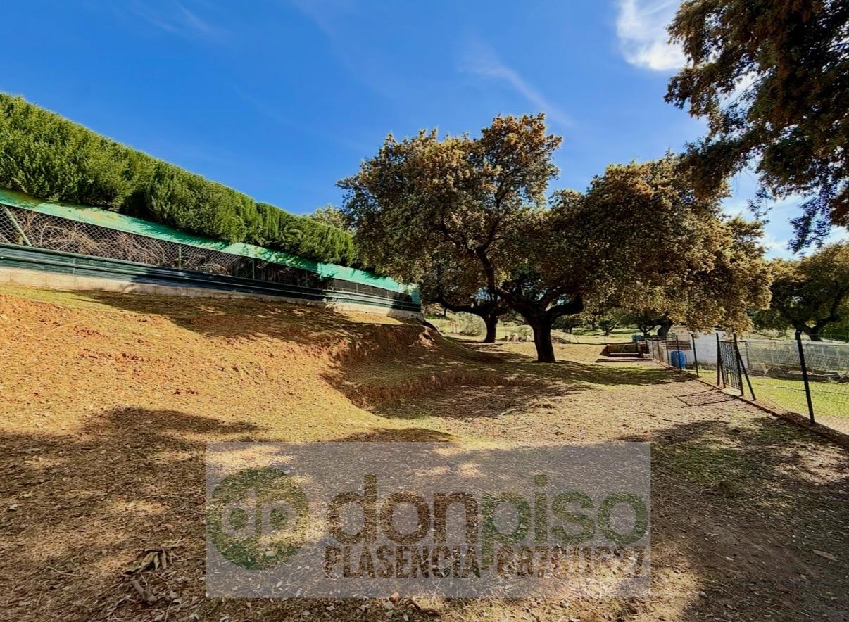 Imagen 21 Casa Rústica en venta en Malpartida De Plasencia / En la Carretera N630