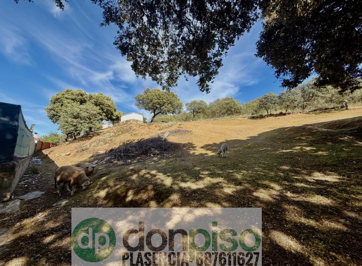 Imagen 22 Casa Rústica en venta en Malpartida De Plasencia / En la Carretera N630