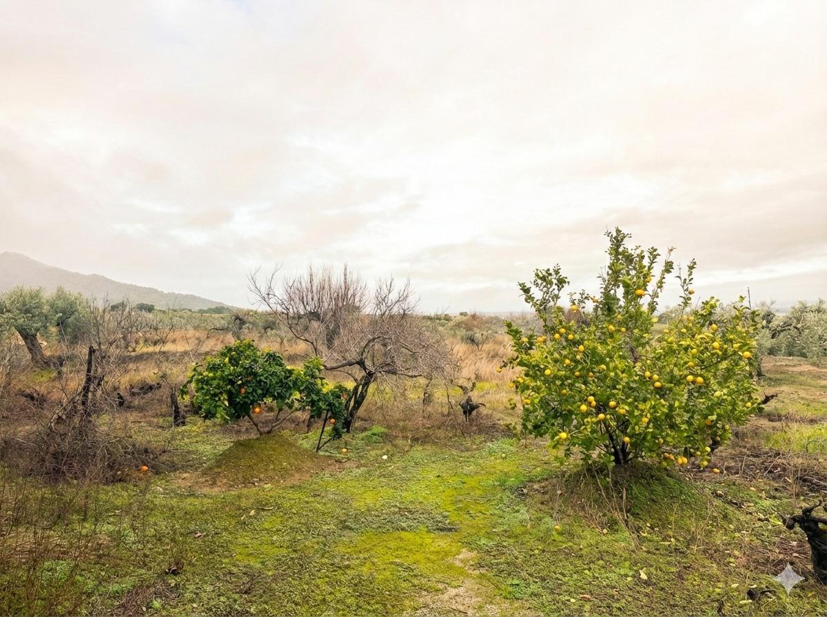 Imagen 17 Casa Rústica en venta en Montánchez / Zona de Robledo, Montánchez