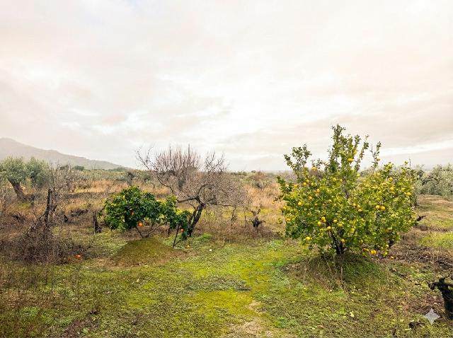 Imagen 17 Inmueble 300524 - Casa Rústica en venta en Montánchez / Zona de Robledo, Montánchez