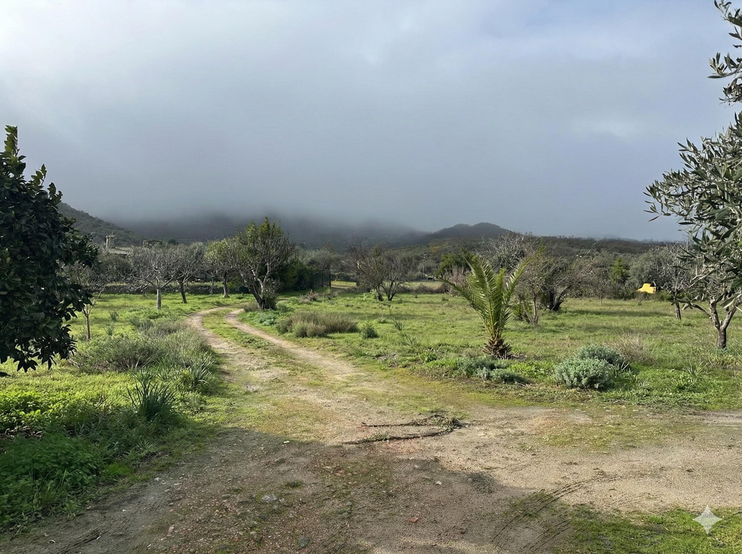 Imagen 20 Casa Rústica en venta en Montánchez / Zona de Robledo, Montánchez