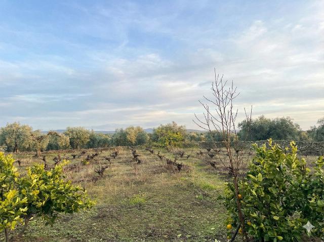 Imagen 18 Inmueble 300524 - Casa Rústica en venta en Montánchez / Zona de Robledo, Montánchez