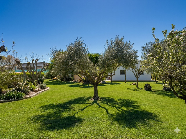 Imagen 9 Inmueble 301890 - Casa en venta en Malpartida De Cáceres / Malpartida de Cáceres