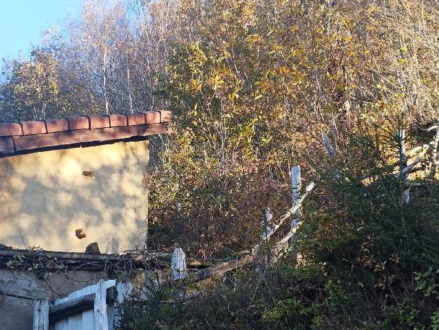 Imagen 22 Inmueble 298829 - Casa Adosada en venta en Mieres / A seis minutos de Mieres