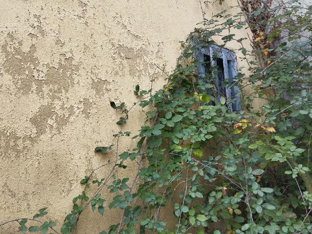 Imagen 12 Inmueble 299136 - Casa Adosada en venta en Mieres / Casa en aldea Cenera, a 6 km de Mieres pueblo