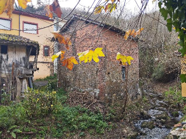 Imagen 11 Inmueble 299136 - Casa Adosada en venta en Mieres / Casa en aldea Cenera, a 6 km de Mieres pueblo