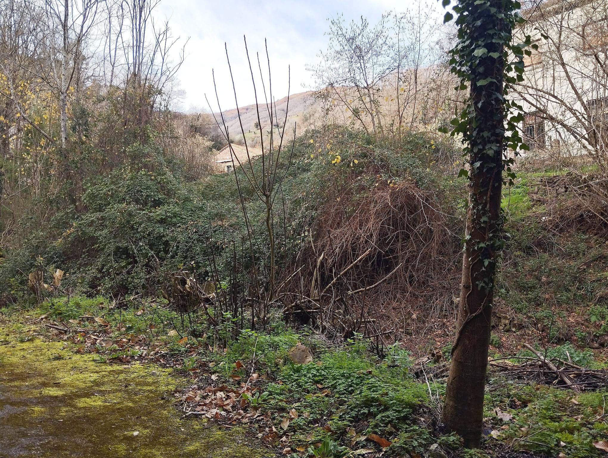 Imagen 29 Casa Adosada en venta en Mieres / Casa en aldea Cenera, a 6 km de Mieres pueblo