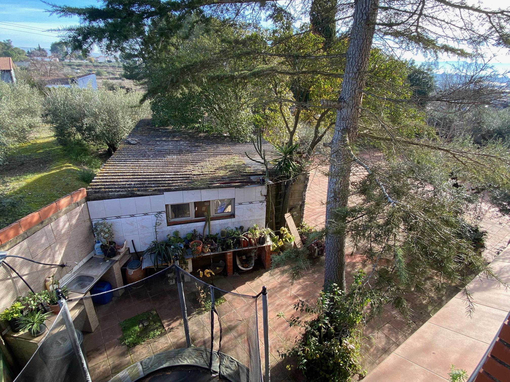 Imagen 3 Casa Rústica en venta en Benigánim / Vivienda cercana al núcleo urbano. 