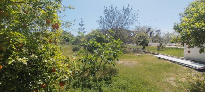 Imagen 30 Casa Aislada en venta en Gandia / Junto a playa de Gandia y playa d´ auir