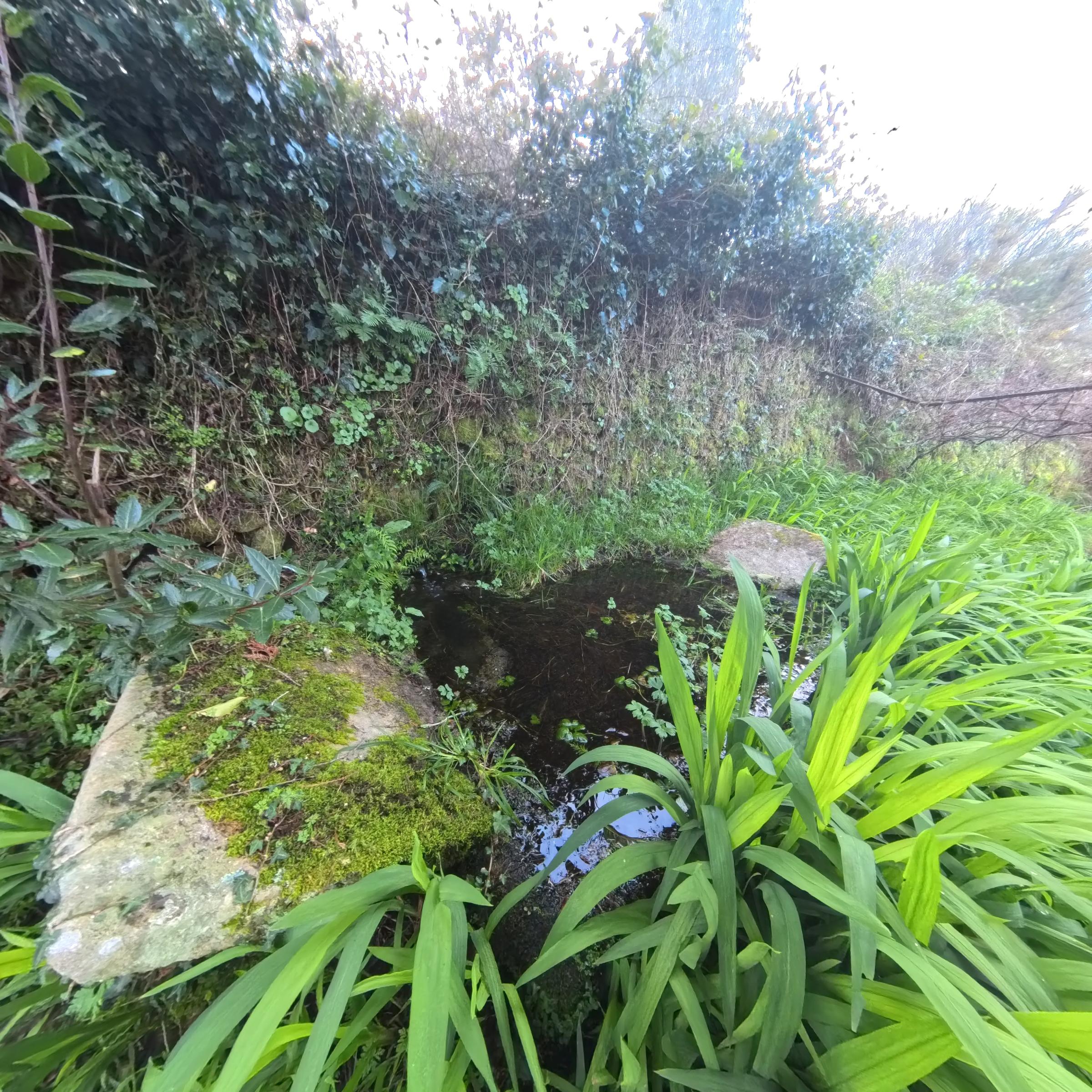 Imagen 14 Casa en venta en Santiago De Compostela / Cerca de la Iglesia de Calo