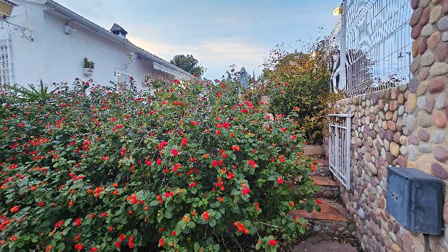 Imagen 15 Inmueble 299120 - Casa Aislada en venta en Bétera / Urbanización Cumbres de San Antonio.