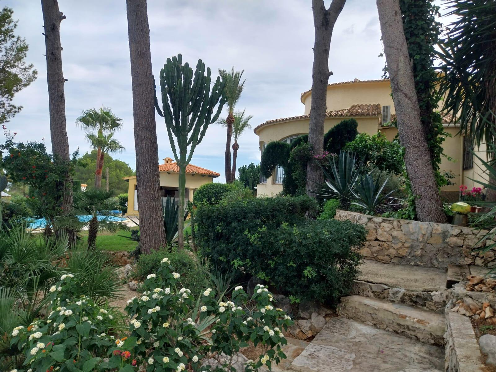 Imagen 4 Casa Rústica en venta en Dénia / La Pedrera Vessanes