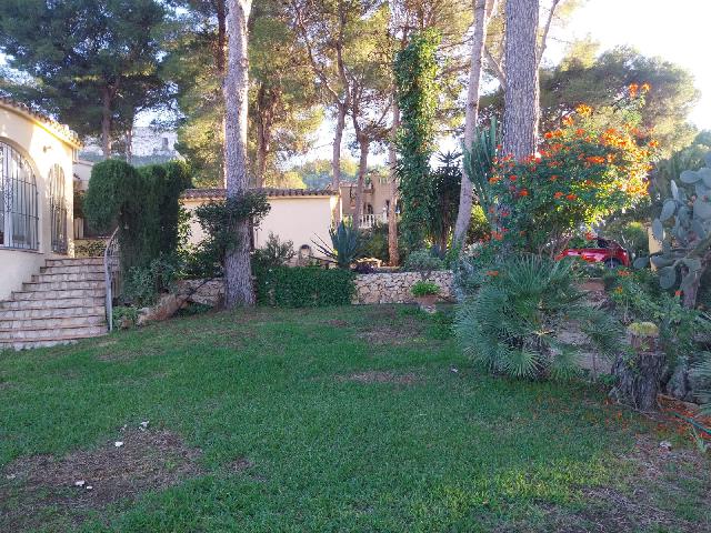 Imagen 16 Inmueble 299304 - Casa Rústica en venta en Dénia / La Pedrera Vessanes