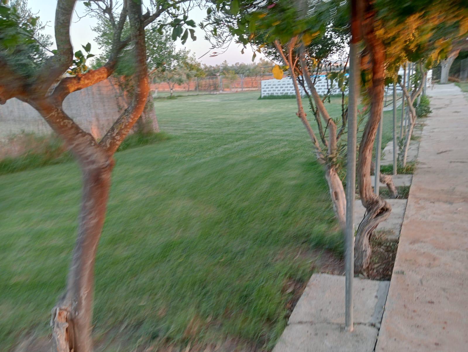 Imagen 6 Casa Rústica en venta en Arcos De La Frontera / Torrecillas, arcos de la frontera,8