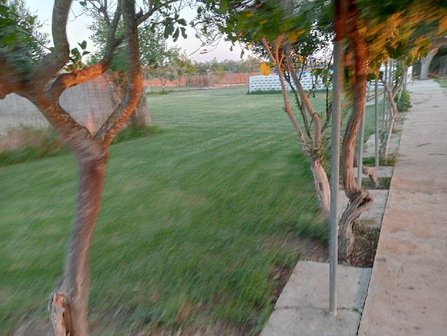 Imagen 6 Inmueble 300210 - Casa Rústica en venta en Arcos De La Frontera / Torrecillas, arcos de la frontera,8