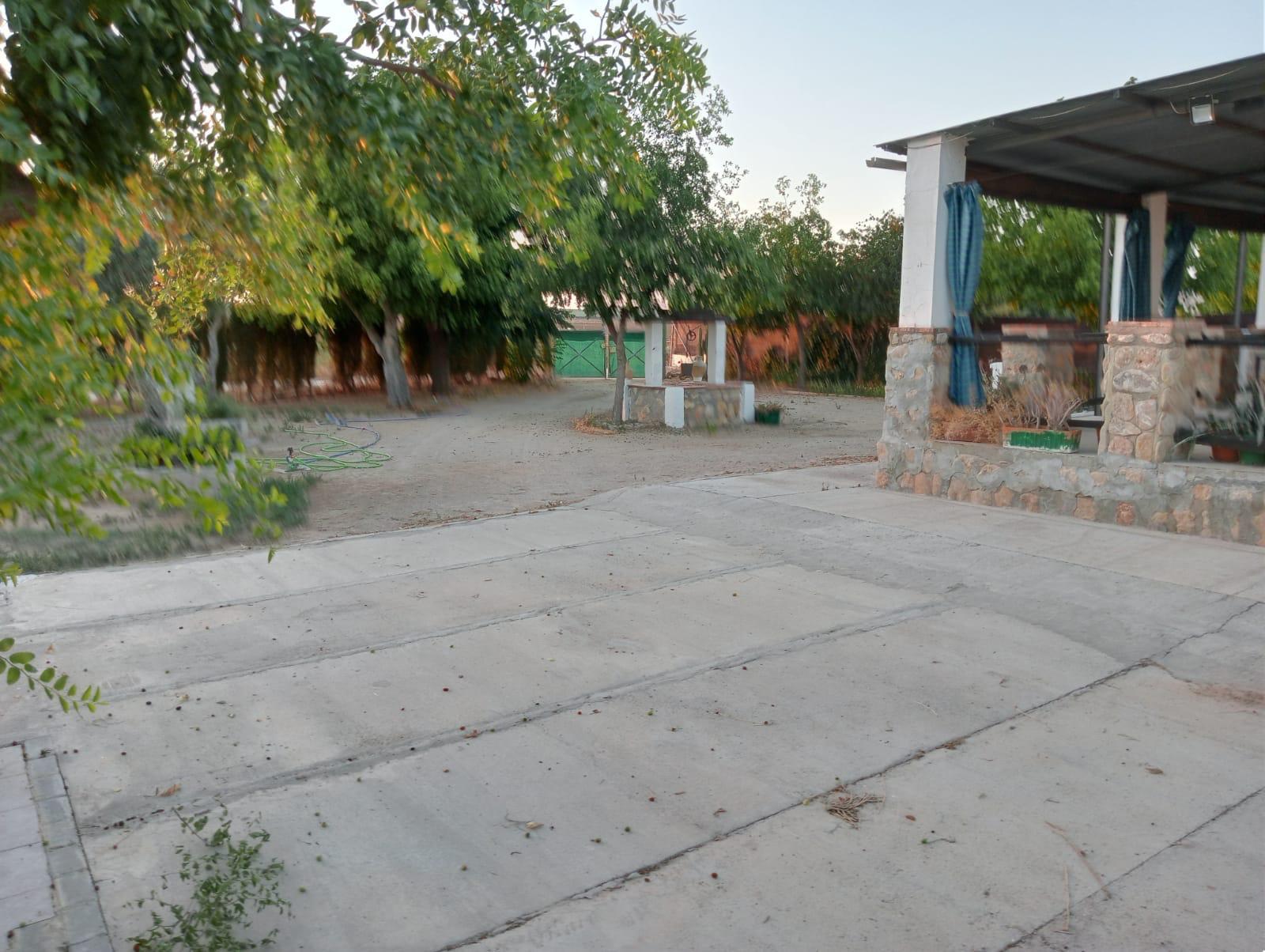 Imagen 13 Casa Rústica en venta en Arcos De La Frontera / Torrecillas, arcos de la frontera,8