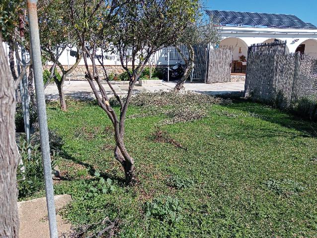 Imagen 19 Inmueble 300210 - Casa Rústica en venta en Arcos De La Frontera / Torrecillas, arcos de la frontera,8