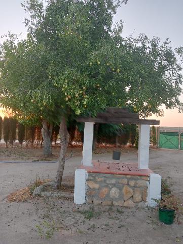 Imagen 22 Inmueble 300210 - Casa Rústica en venta en Arcos De La Frontera / Torrecillas, arcos de la frontera,8