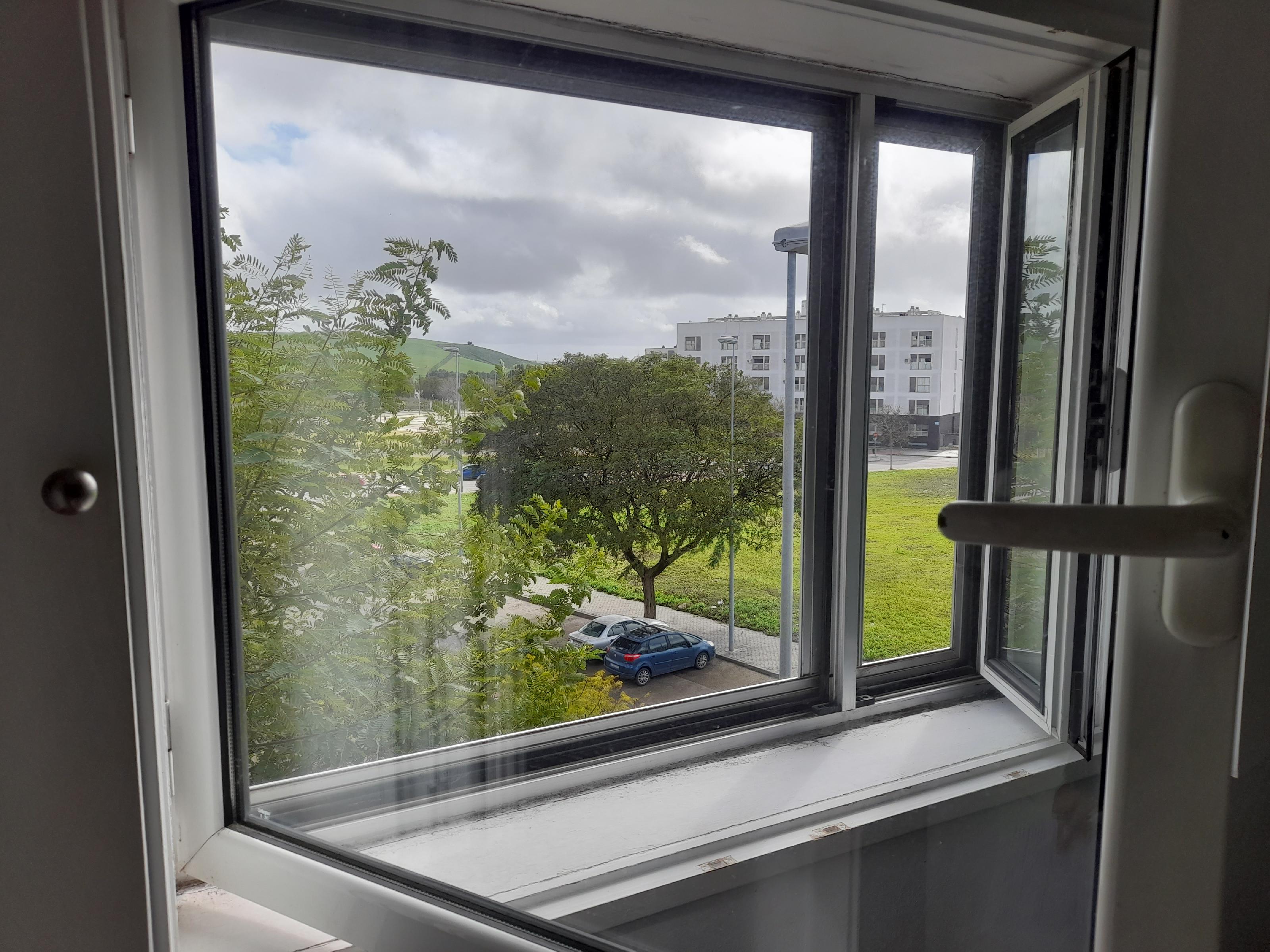 Imagen 9 Apartamento en venta en Jerez De La Frontera / Ubicado cerca del parque Cherry golf Jerez