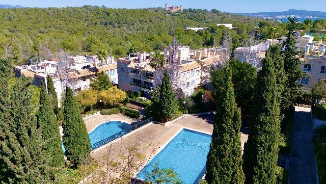 Imagen 35 Inmueble 301014 - Piso en venta en Palma / En Bonanova ,.Cerca del  Castillo de  Bellver,  