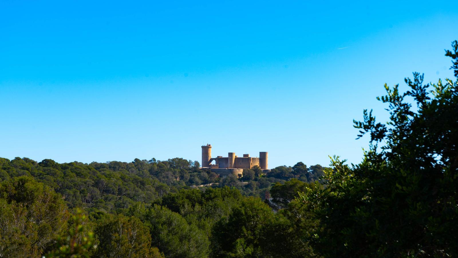 Imagen 33 Piso en venta en Palma / En Bonanova ,.Cerca del  Castillo de  Bellver,  