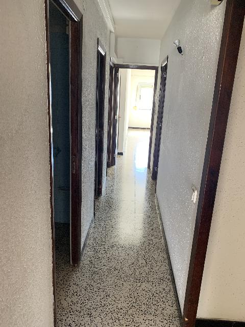 Imagen 24 Inmueble 301080 - Piso en venta en Palma / Calle  31 de diciembre.  Centro Palma