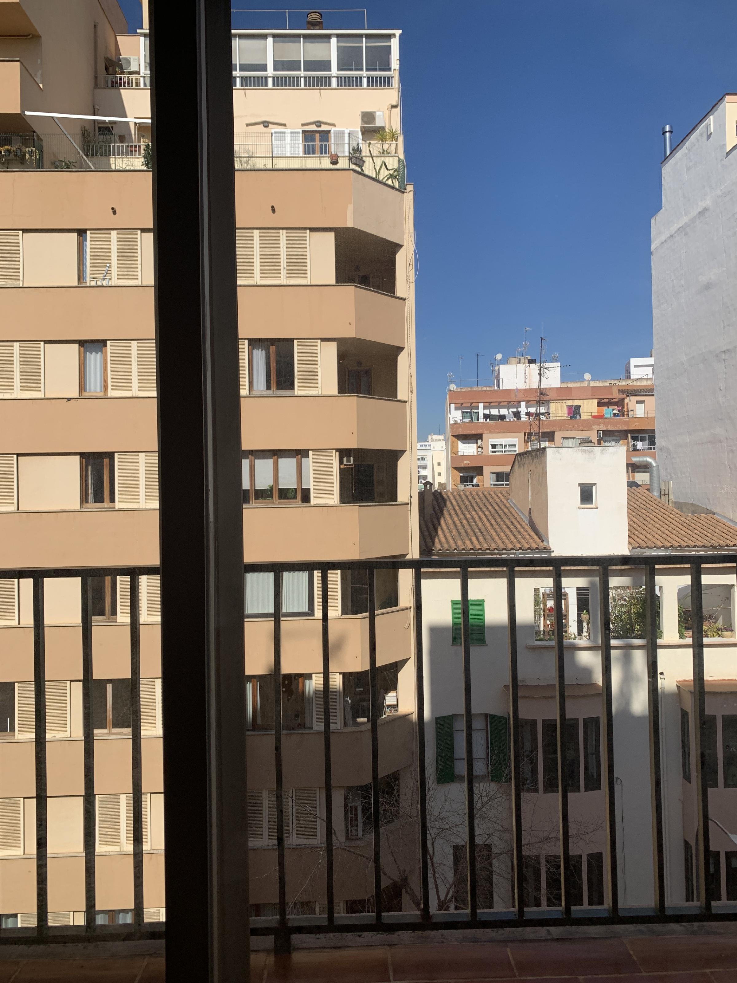 Imagen 3 Piso en venta en Palma / Calle  31 de diciembre.  Centro Palma