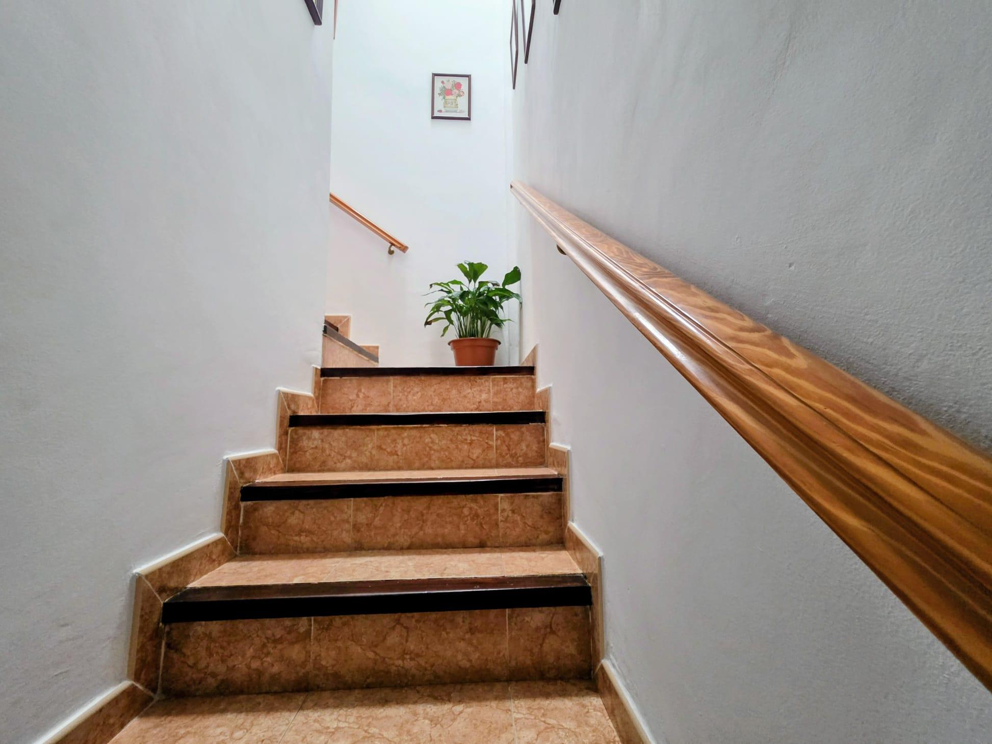 Imagen 22 Casa Adosada en venta en Puerto Real / Vivienda en una zona tranquila del rio san Pedro