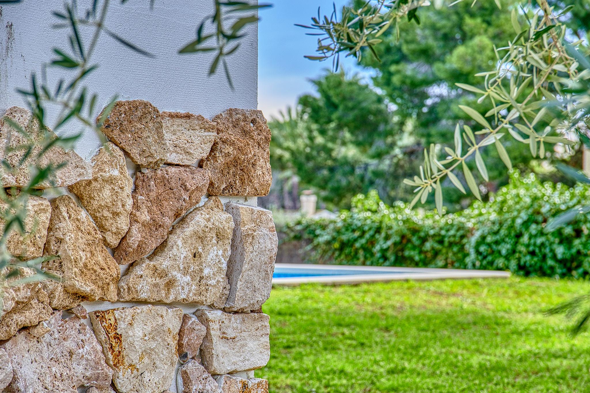 Imagen 4 Casa Aislada en venta en Elche/elx / Carretera Elche- Santa Pola