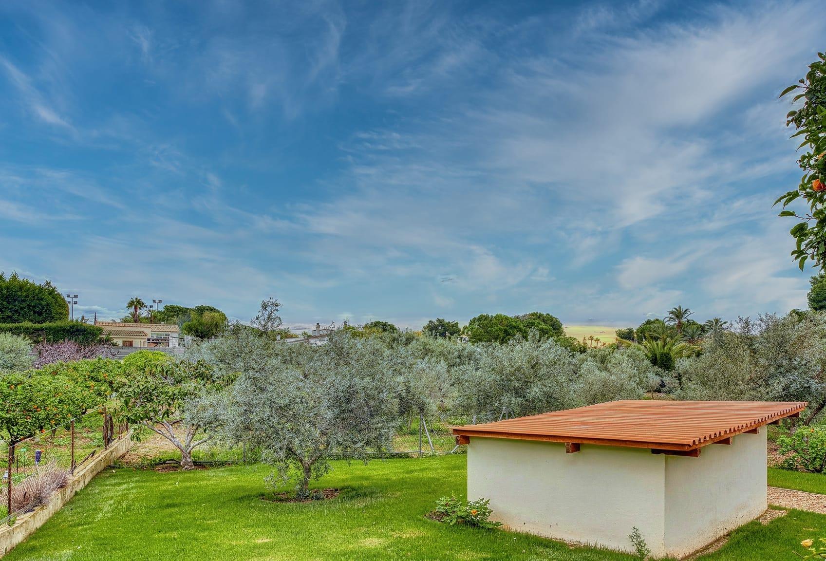 Imagen 30 Casa Aislada en venta en Elche/elx / Carretera Elche- Santa Pola