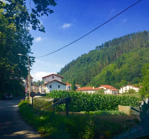 Imagen 5 Inmueble 291351 - Casa en venta en Azpeitia / Barrio de Nuarbe-A 10 min. aproximadamente de Azpeitia 