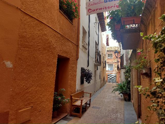 Imagen 2 Inmueble 184354 - Casa en venta en Puebla De Castro (La) / Zona Centro de la Población.